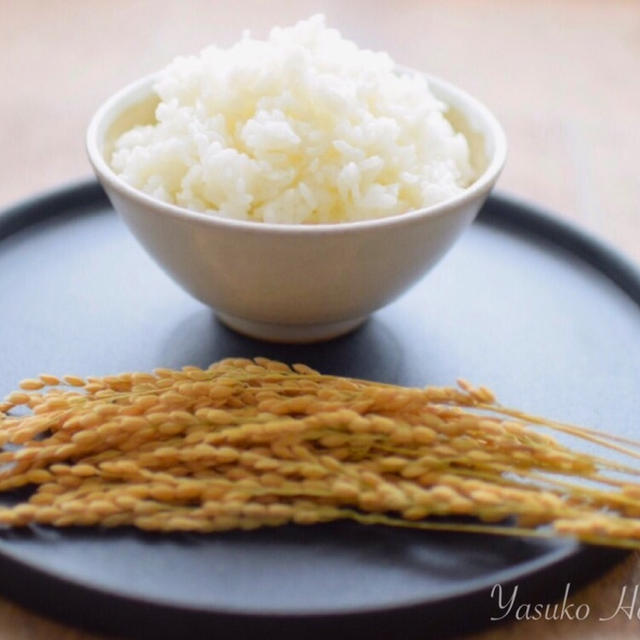 【食と栄養】食べることは生きること