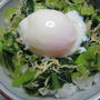 「ちりめんじゃこと小松菜の温泉たまご丼」