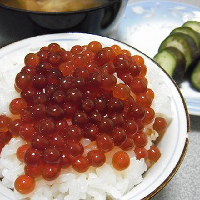 究極のカレー弁当？イクラご飯。眠ってばっかりのあんこ