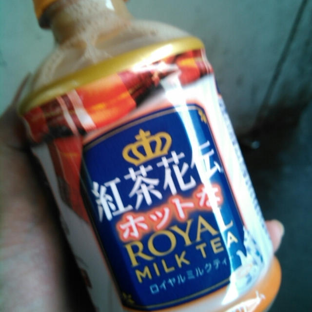 今日はお一人様でお出かけ