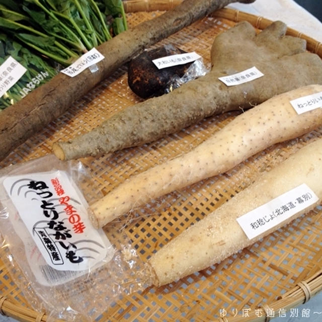 ほんま旨いもん塾第14回～大和の国の野菜たち。