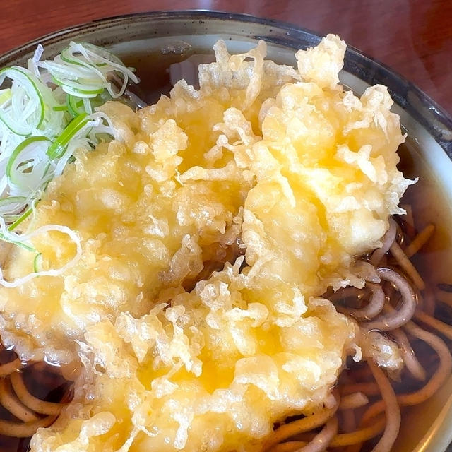 立ち蕎麦行脚「ながみのいか天そば」