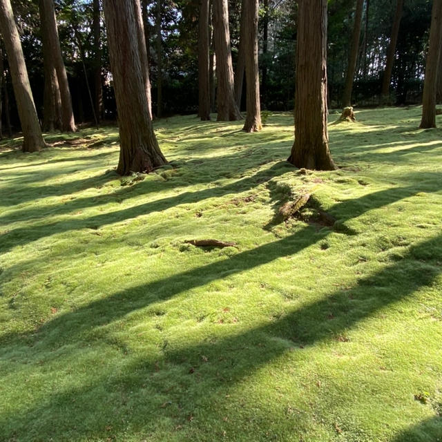 ＊開山御廟＠唐招提寺＊