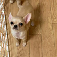 初めましてナナコです。