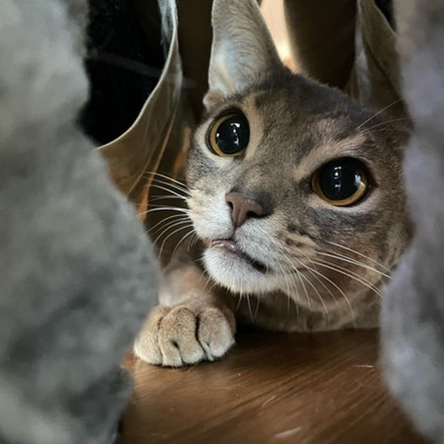 行かないで…坊