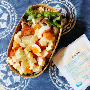 書籍に掲載されました！それと魚ニソ玉子チーズサラダ弁当