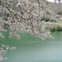 空と桜をあなたに…。,