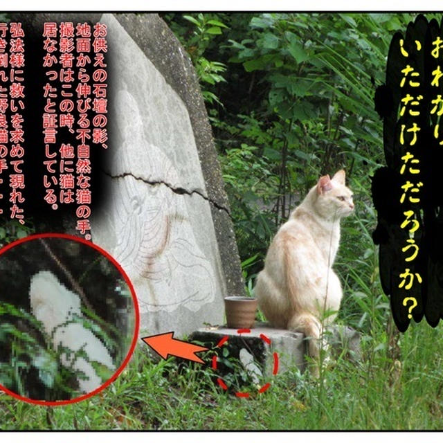 猫日記 おわかりいただけただろうか By キノコ紳士さん レシピブログ 料理ブログのレシピ満載
