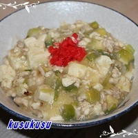 生姜と白ネギたっぷり子供も大好き麻婆豆腐