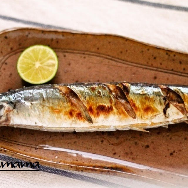 アボカドとベーコンの包み揚げ　/ 男子中学生弁当