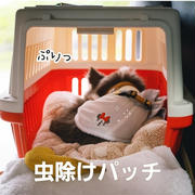 虫除けもかわいく♪ミニーちゃんパッチでキャンプ対策