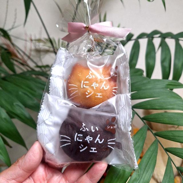 ふぃにゃんシェとトマトカレースープ