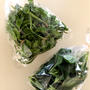 これラクチン！湯をかけるだけの簡単調理ができる野菜たち
