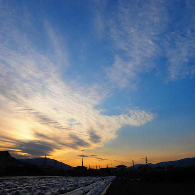 ご心配おかけしてしまいました(涙)ほんとにありがとうございました(T^T)