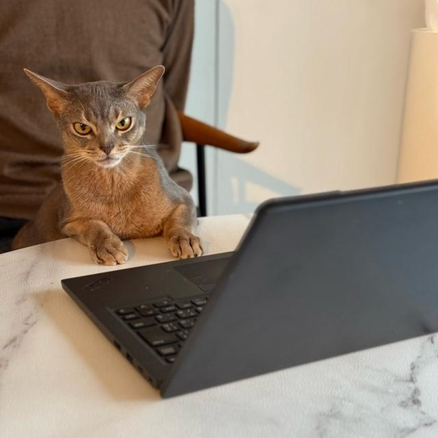 おり、できるオトコでち