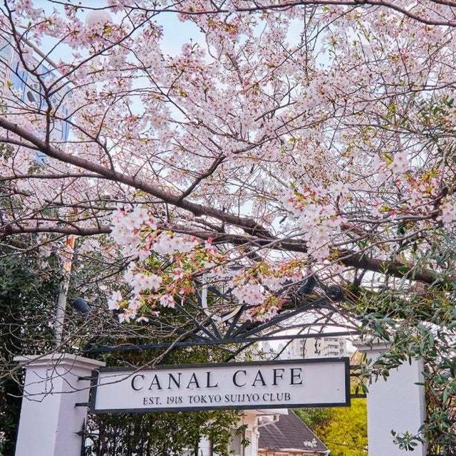 【OTONA美shoku部】満開の桜が見えるレストランへ