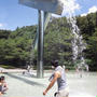 芹ヶ谷公園☆