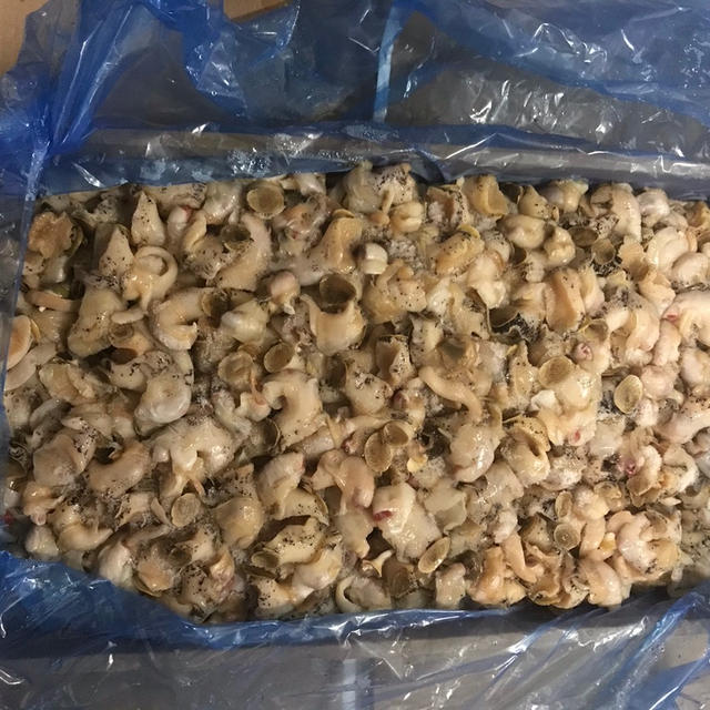カナダ　ニューファンドランド産つぶ貝