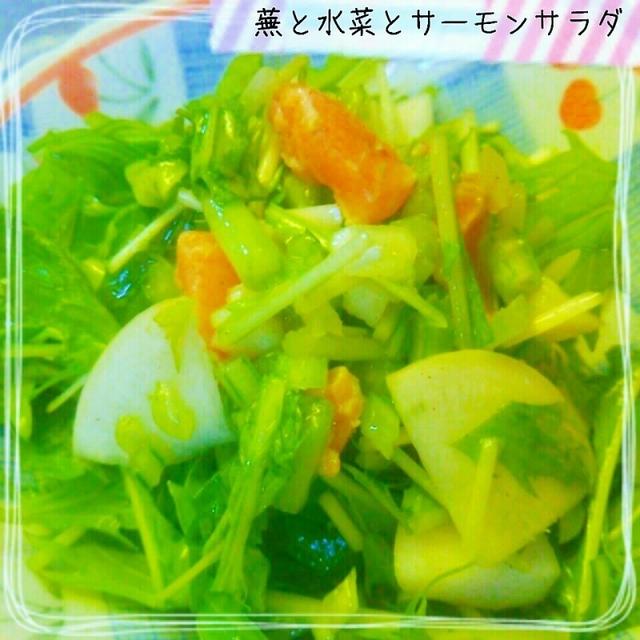 蕪と水菜とサーモンサラダ