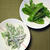 まめ豆サラダ2種