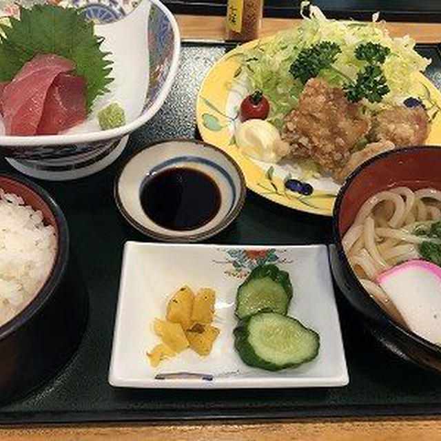 四国８８か所参り。久しぶりの眠る猫写真