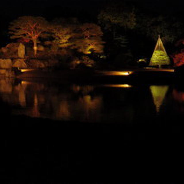 六義園　紅葉と大名庭園のライトアップ2016　今年もきれいでした♪
