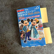10年振りのディズニーシー！！情報求む〜！！の、話。