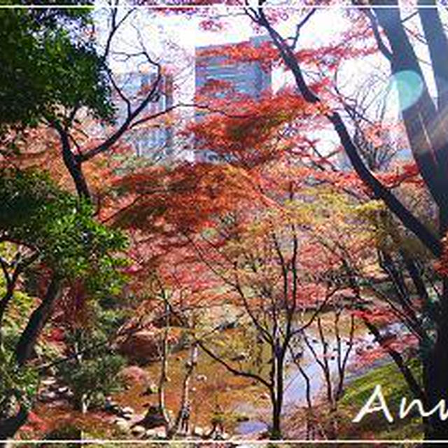 ☆小石川後楽園の紅葉＆冬桜☆