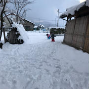 福井です。紅白歌合戦観てます。