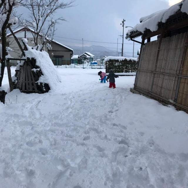 福井です。紅白歌合戦観てます。