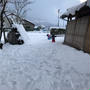 福井です。紅白歌合戦観てます。