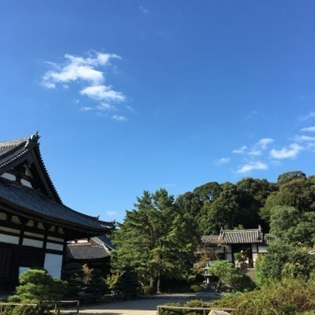 あらゆる願いが叶う「魔法の宝珠」は･･･