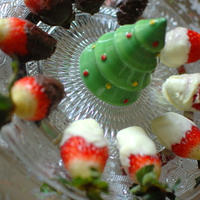 クリスマスディナー案
