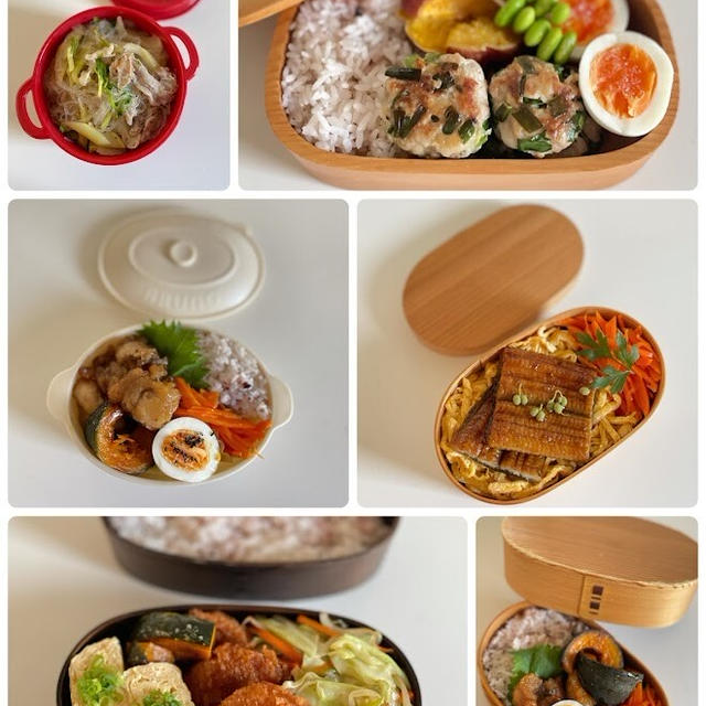 1週間分の日持ちおかず作り～1週間のお弁当（アラカンオット＆女子大生用）