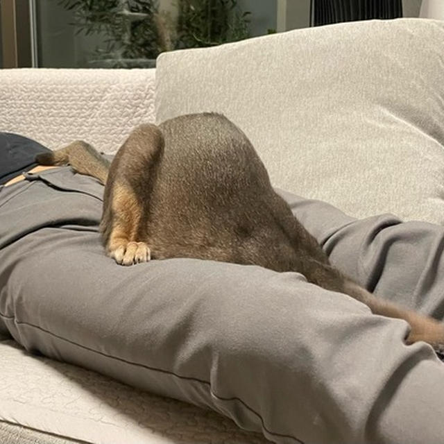 ヒザこじ開け坊