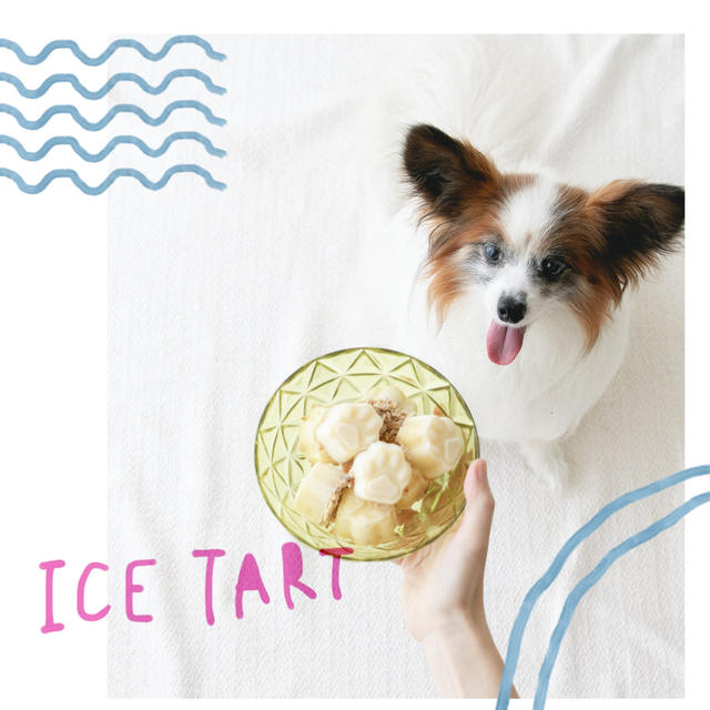 製氷皿でok さつまいも ヨーグルトで犬のアイスタルトケーキ 手作り犬おやつレシピ By 犬ごはん先生 いちかわあやこさん レシピブログ 料理ブログのレシピ満載