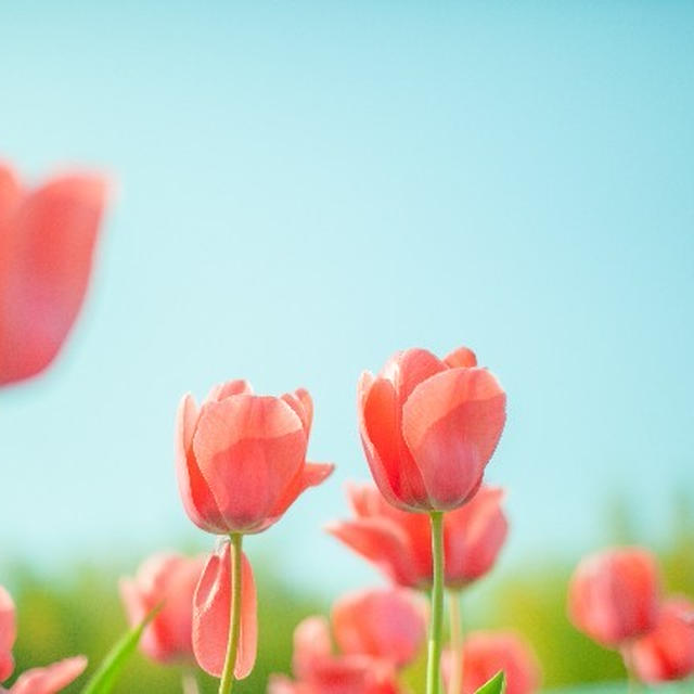 背中を押しますよ(^^)！