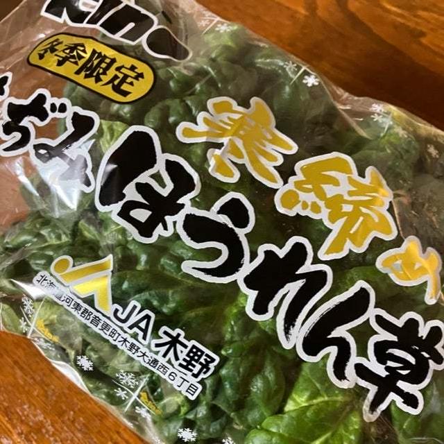 季節限定　寒締めちぢみほうれん草のとろろ添え