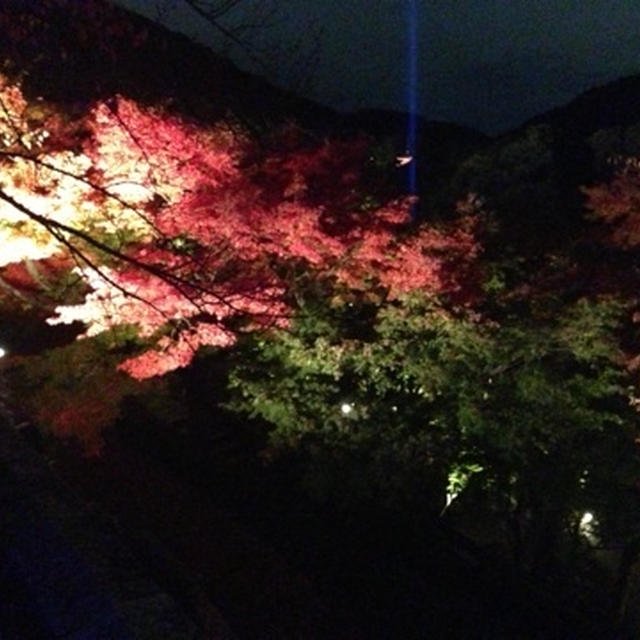 行ってきましたー