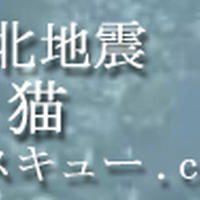 取り残されているペットを助けよう！（転載）