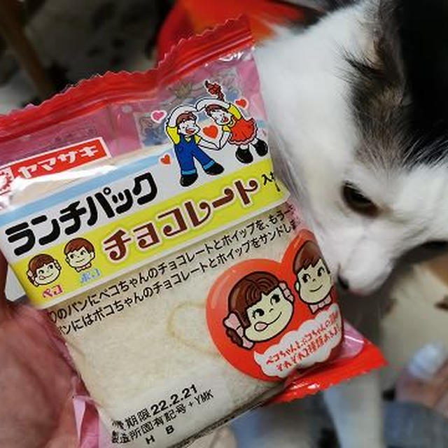 噂のランチパックを買ってみた！