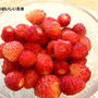 フラゴリーネ（（Fragoline)