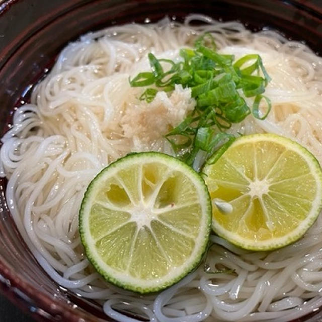 昨日食べたものと里親さんと