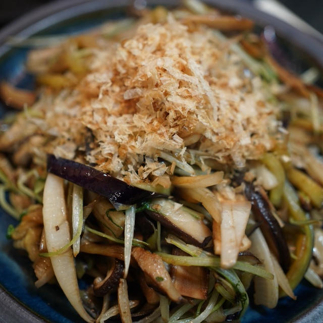 茄子と大根と水菜と油揚げの細切り炒め