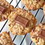 HERSHEY'S チョコレートスパイシービスケット