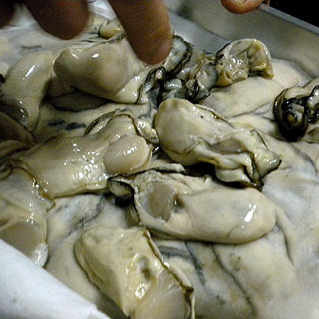 築地・あんこう屋たかはし「なめたガレイの煮付け」