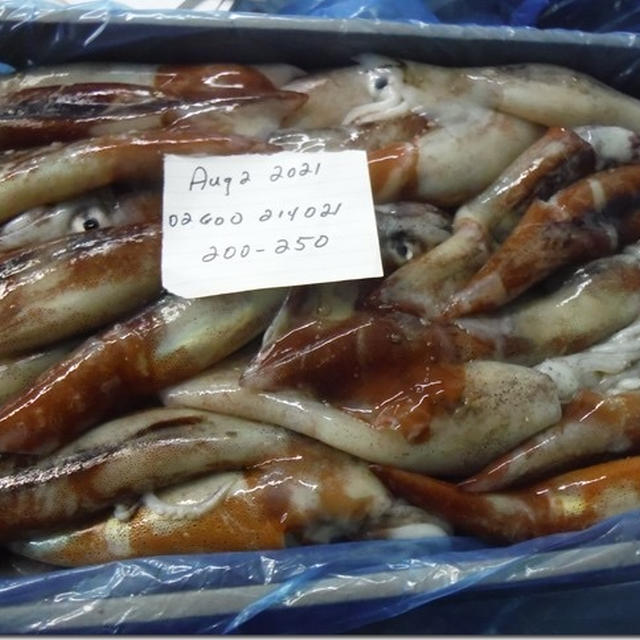 大漁