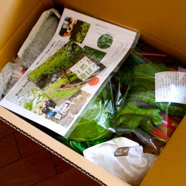 クックパッドのやさい便「アグリスタイル」を試してみました