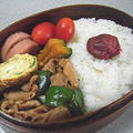 回鍋肉弁当と鹿児島旅行記３かな？