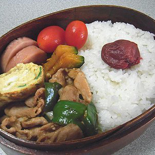 回鍋肉弁当と鹿児島旅行記３かな？